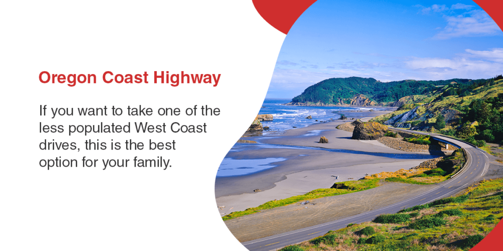 Oregon Coast Highway: If you want to take one of the less populated West Coast drives, this is the best option for your family. 