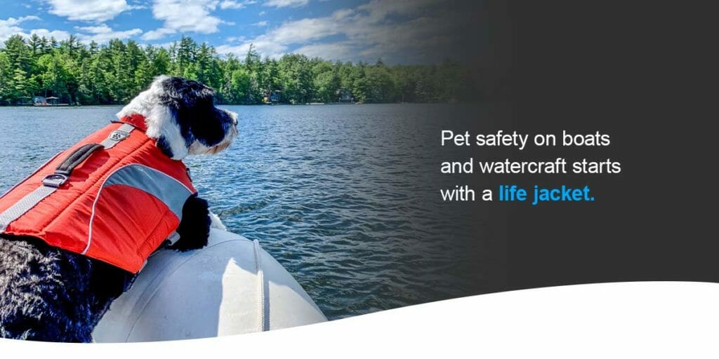 Pet safety on boats and watercraft starts with a life jacket. 