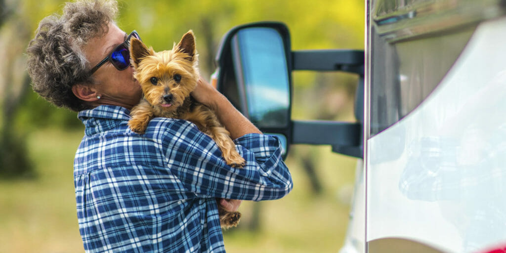How to Go RVing With Dogs