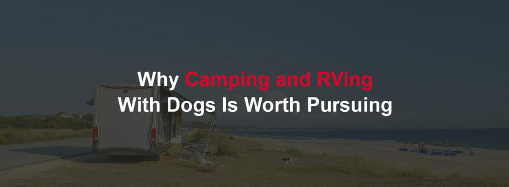 Why Camping and RVing With Dogs Is Worth Pursuing