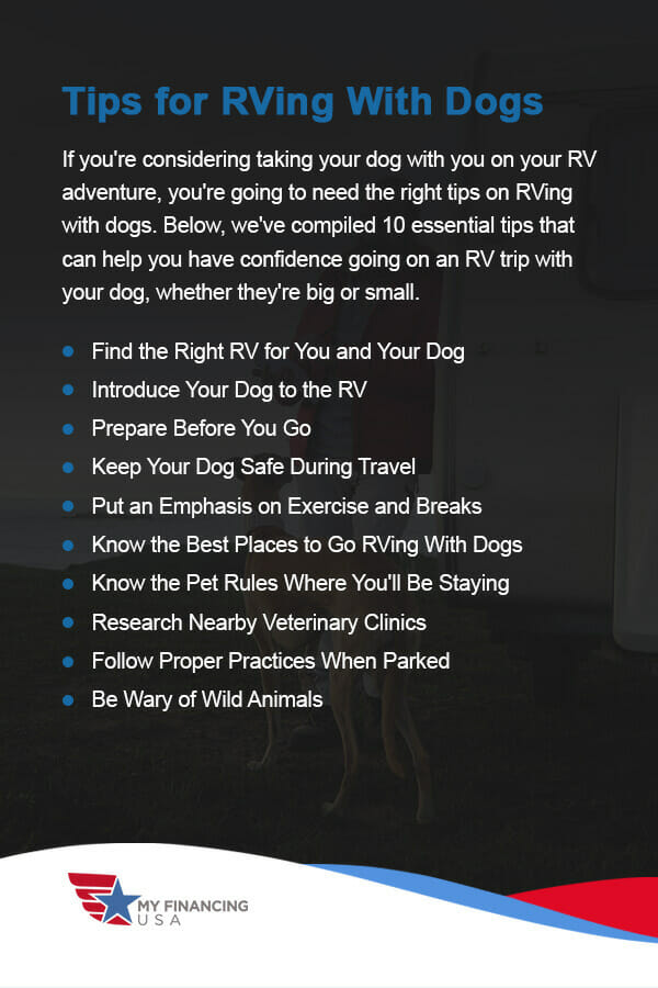 Tips for RVing With Dogs. If you're considering taking your dog with you on your RV adventure, you're going to need the right tips on RVing with dogs. Below, we've compiled 10 essential tips that can help you have confidence going on an RV trip with your dog, whether they're big or small.