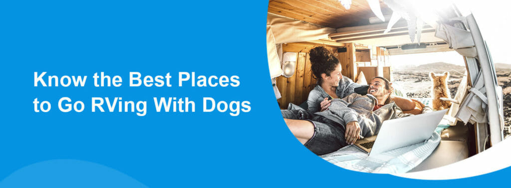 Know the Best Places to Go RVing With Dogs