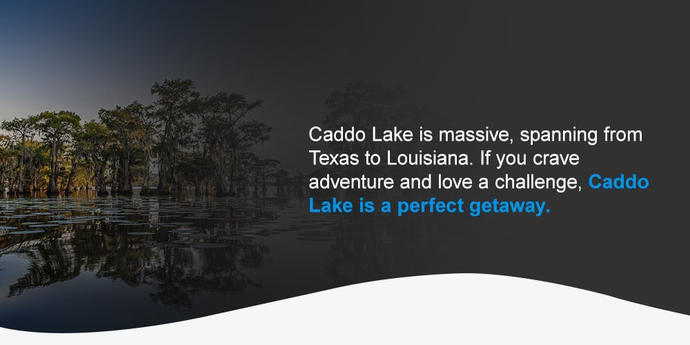 Caddo Lake is massive, spanning from Texas to Louisiana. If you crave adventure and love a challenge, Caddo Lake is a perfect getaway. Along with interconnected waterways and bayous, you'll have to navigate small islands, narrow channels and trees that grow right in the water. These waters are perfect for job boats or skiffs with their shallower areas and narrower navigation.