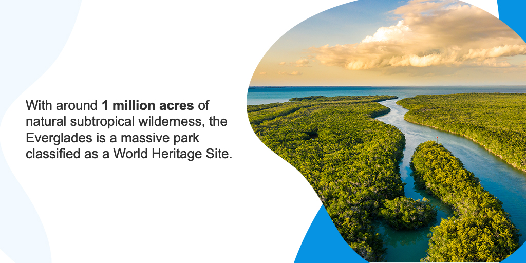 With around 1 million acres of natural subtropical wilderness, the Everglades is a massive park classified as a World Heritage Site.