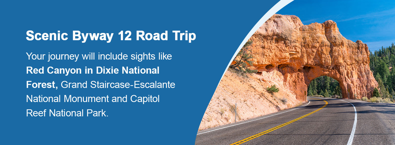 Scenic Byway 12 Road Trip. Your journey will include sights like Red Canyon in Dixie National Forest, Grand Staircase-Escalante National Monument and Capitol Reef National Park. 