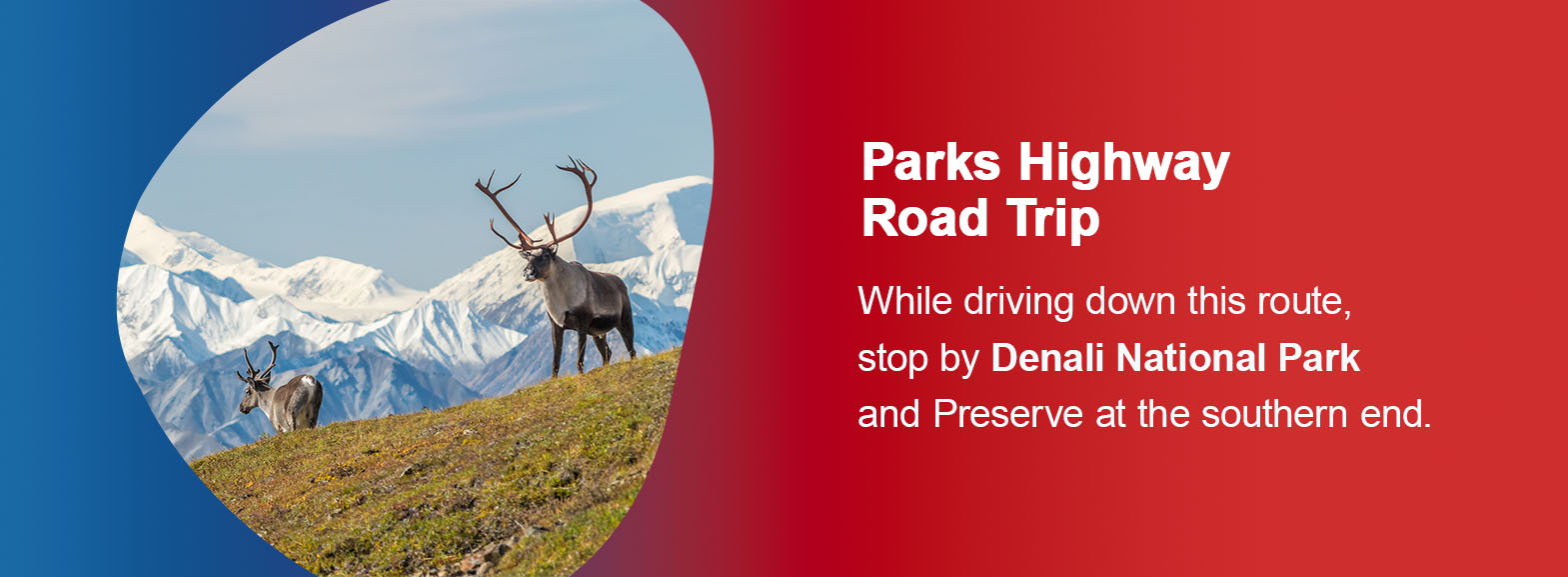 Parks Highway Road Trip. While driving down this route, stop by Denali National Park and Preserve at the southern end.
