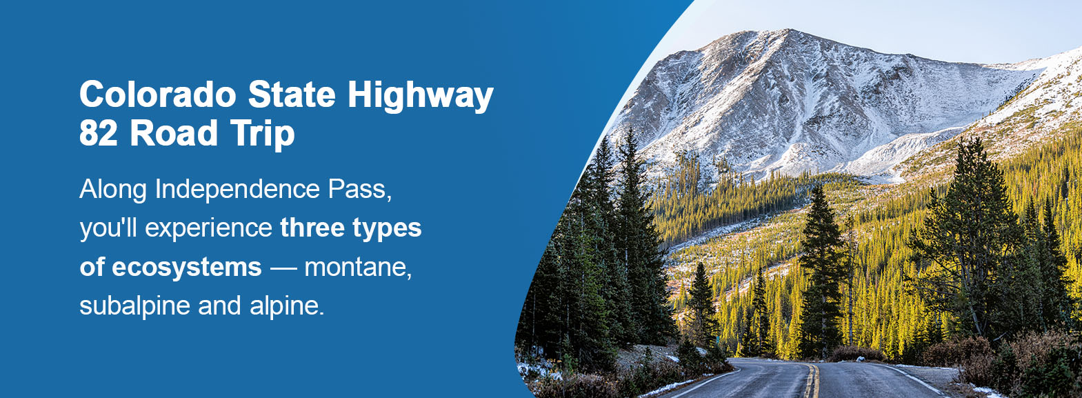 Colorado State Highway 82 Road Trip. Along Independence Pass, you'll experience three types of ecosystems — montane, subalpine and alpine.