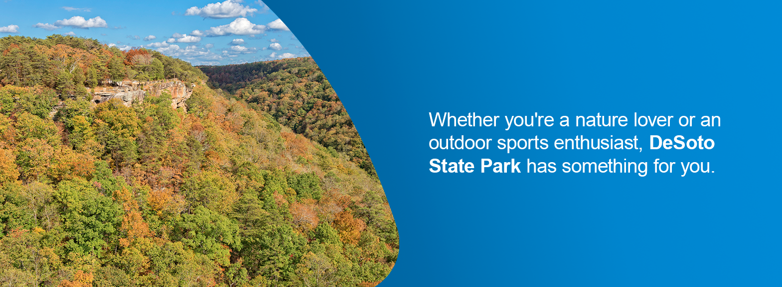 Whether you're a nature lover or an outdoor sports enthusiast, DeSoto State Park has something for you. 