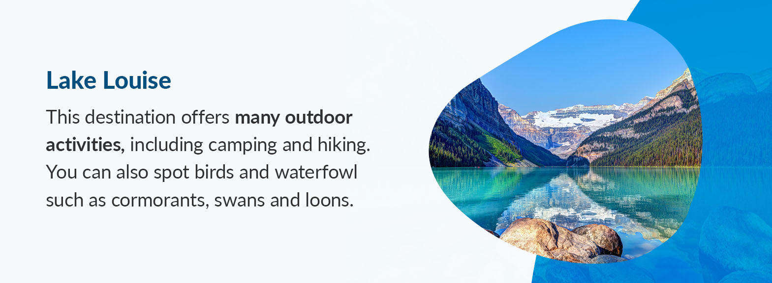 Lake Louise - This destination offers many outdoor activities, including camping and hiking. You can also spot birds and waterfowl such as cormorants, swans and loons.