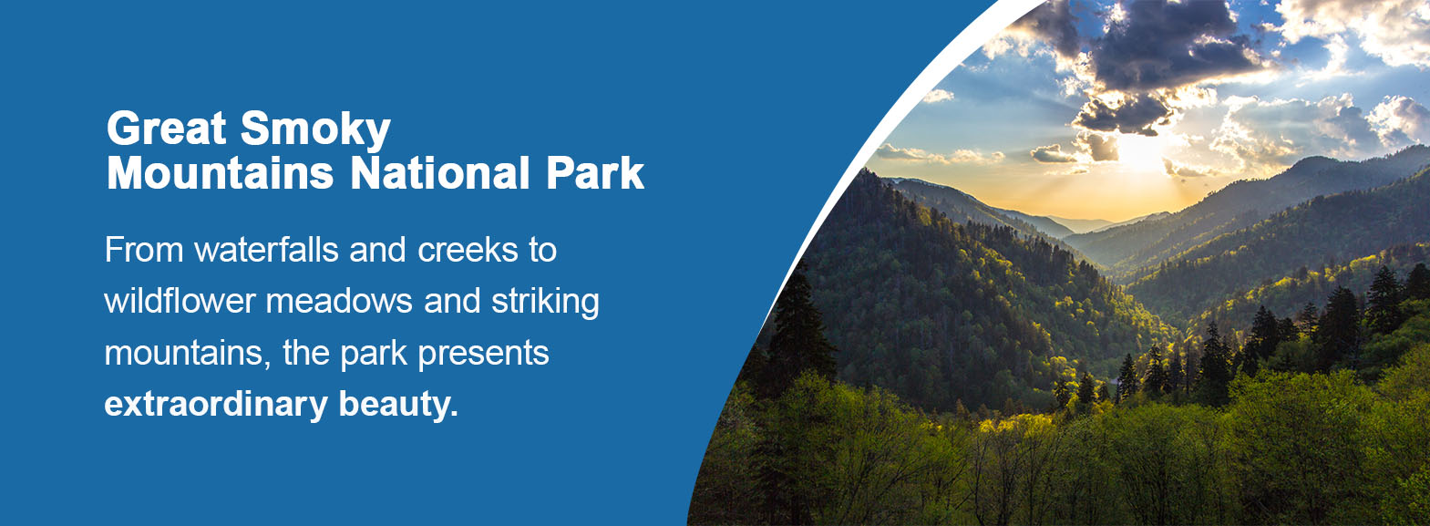 Great Smoky Mountains National Park. From waterfalls and creeks to wildflower meadows and striking mountains, the park presents extraordinary beauty.