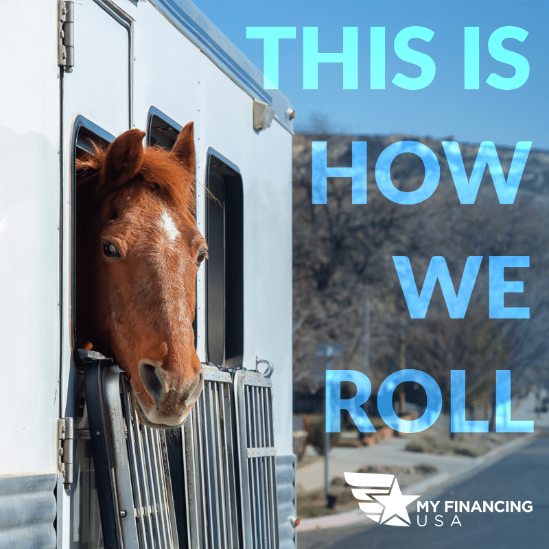 Horse In Horse Trailer