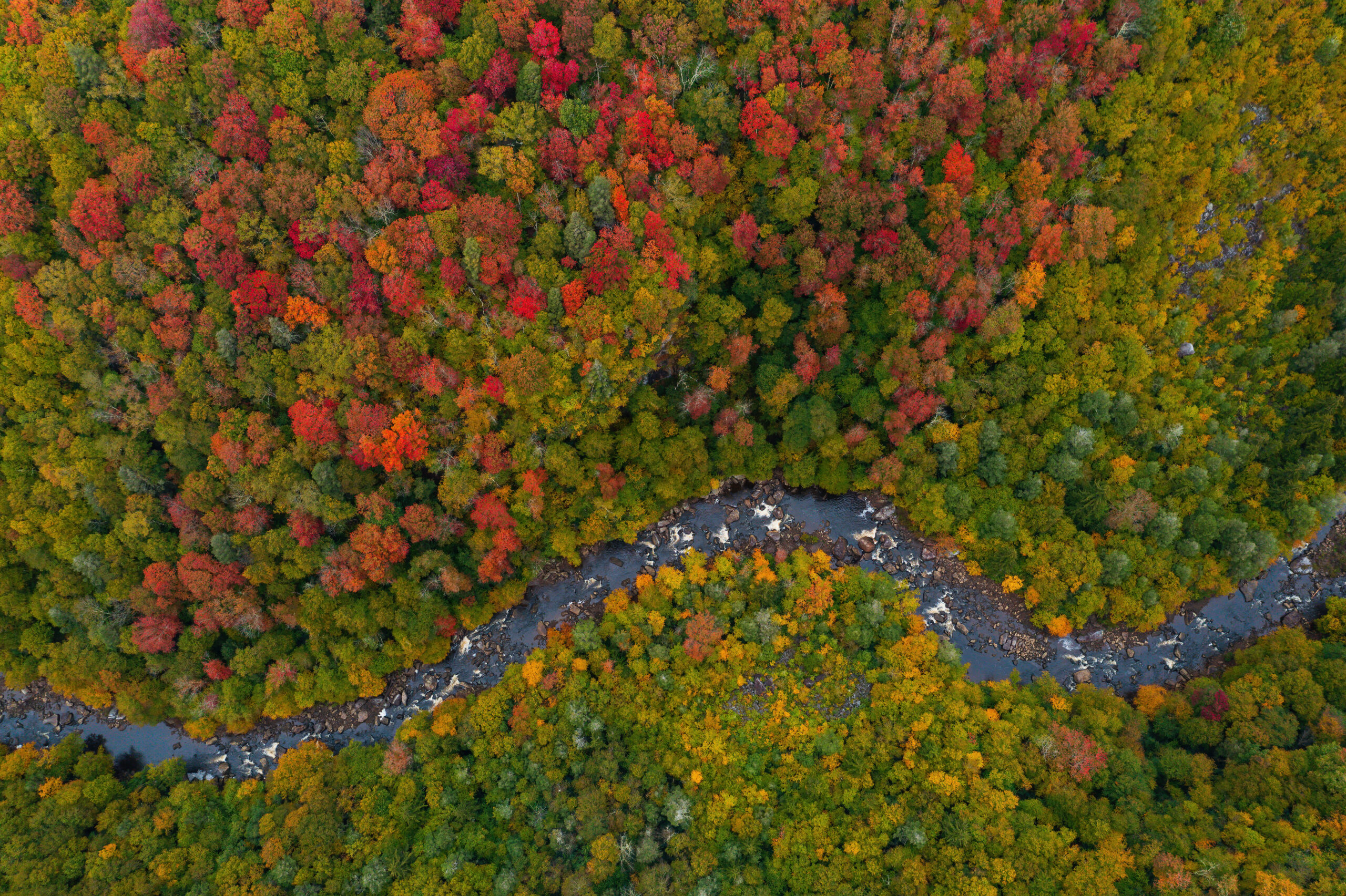 Aerial View of a West Virginia State Park